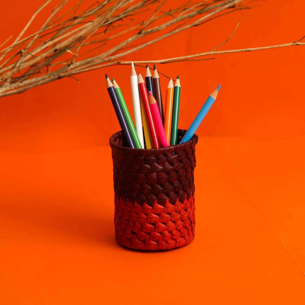 Ombre Palmyra Pencil Holder