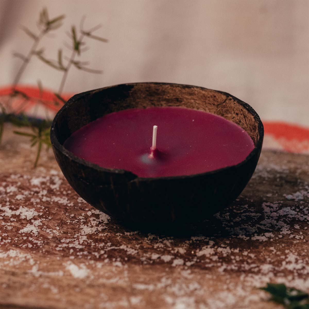 Lavender Skies Coconut Shell Candle - Small