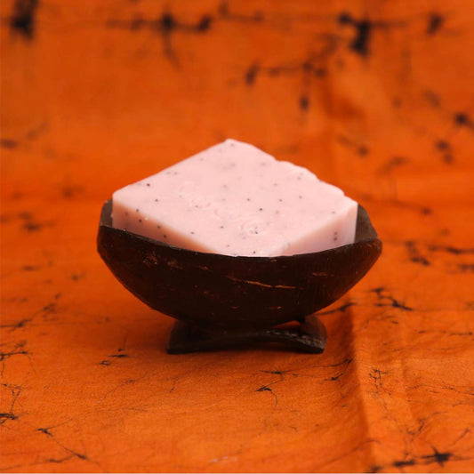 Coconut Shell Soap Dish