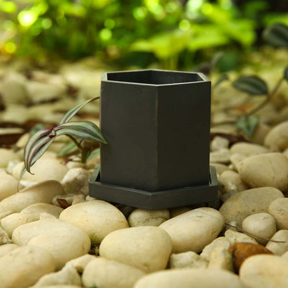 Black Hexagon Planter With Coaster