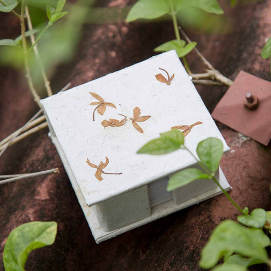 Crinkly Jasmine Notepaper and Box