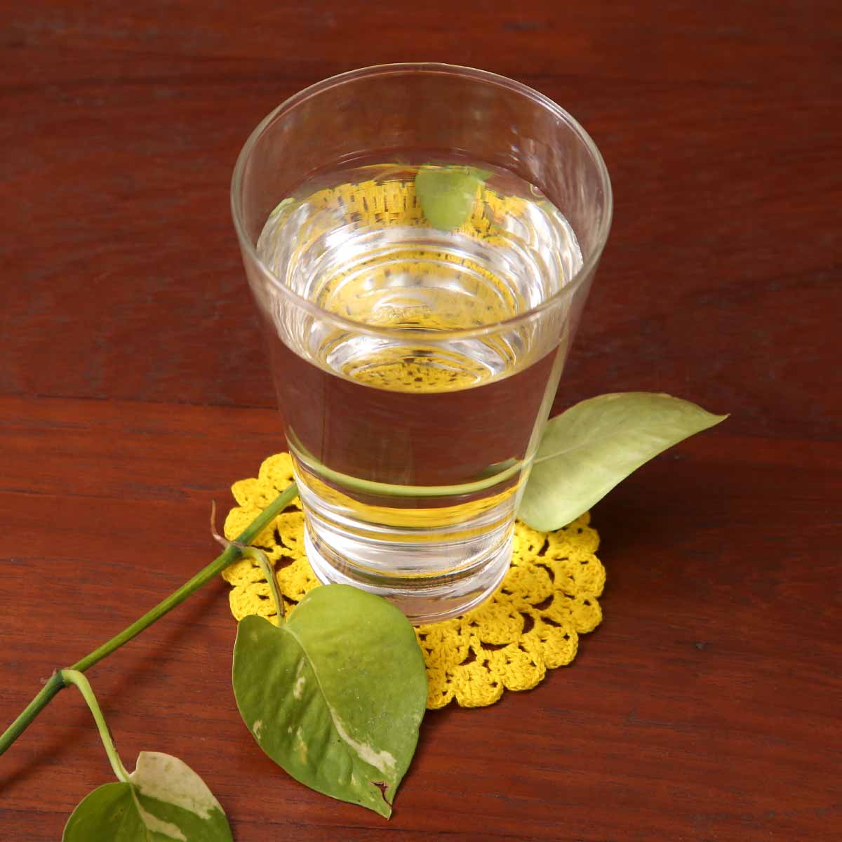 Weaver Bird Yellow Doily Coaster Set