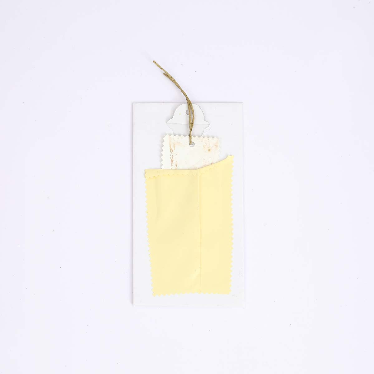 Bo Leaves Greeting Card