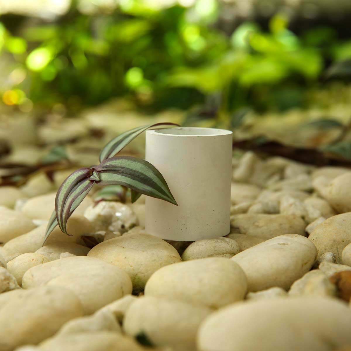 White Cylinder Planter