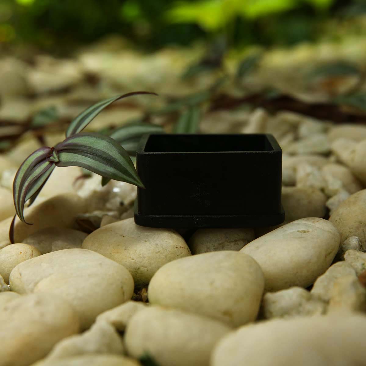 Black Square Planter