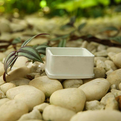 White Square Planter