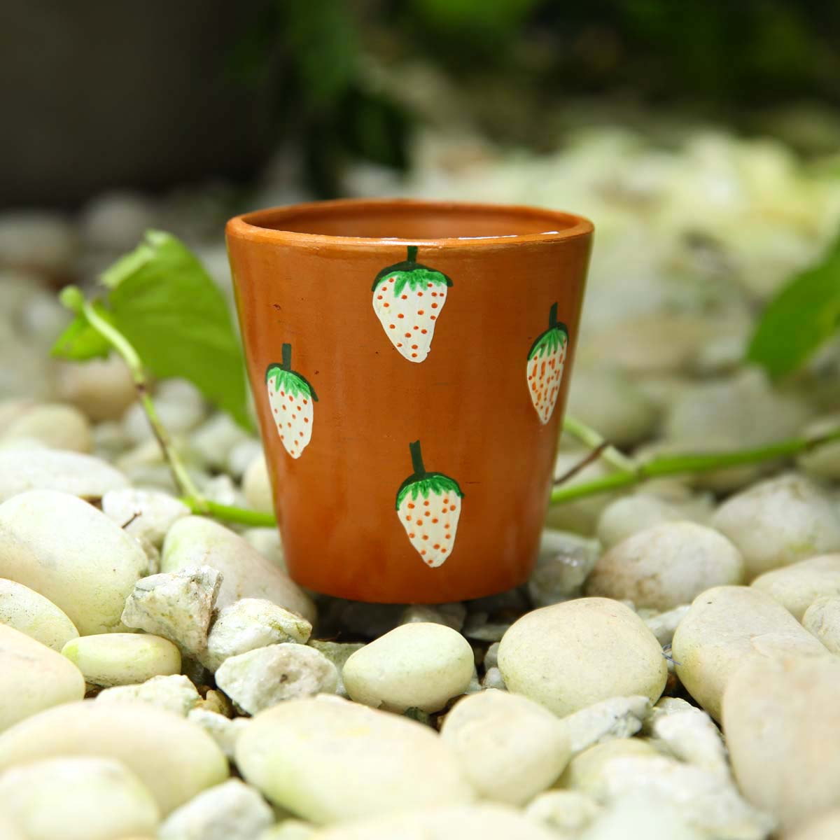 Strawberry Pancha Flower Pot