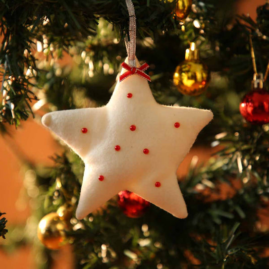 Textured Snowy Star Ornament