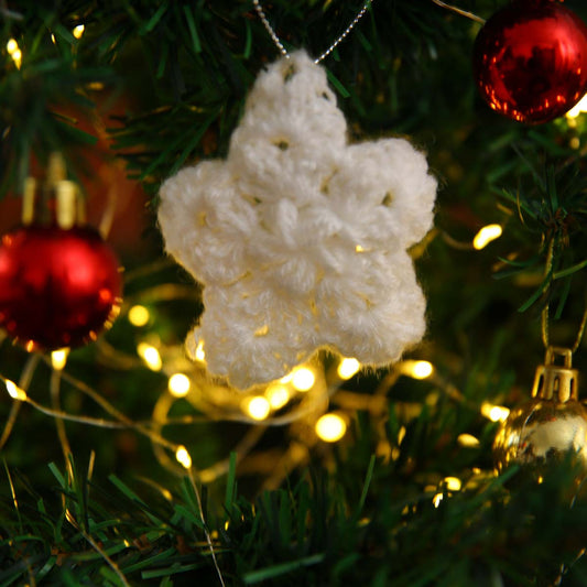 Celestial Star Wool Ornament