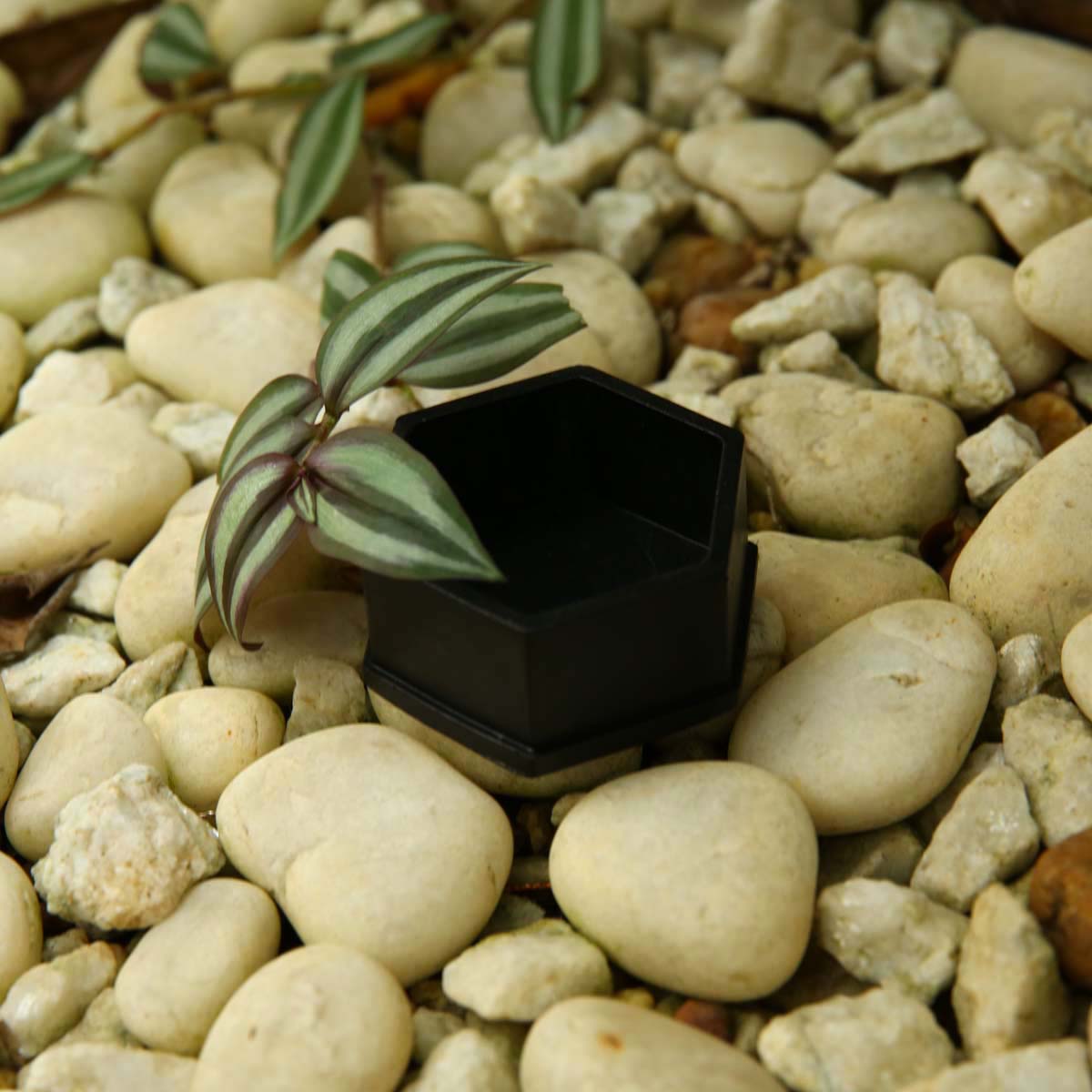 Black Hexagon Planter