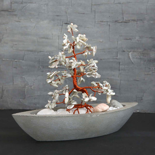 Mother-of-Pearl Tree