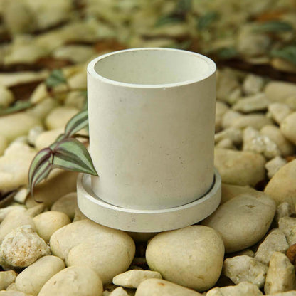 White Cylinder Planter With Coaster
