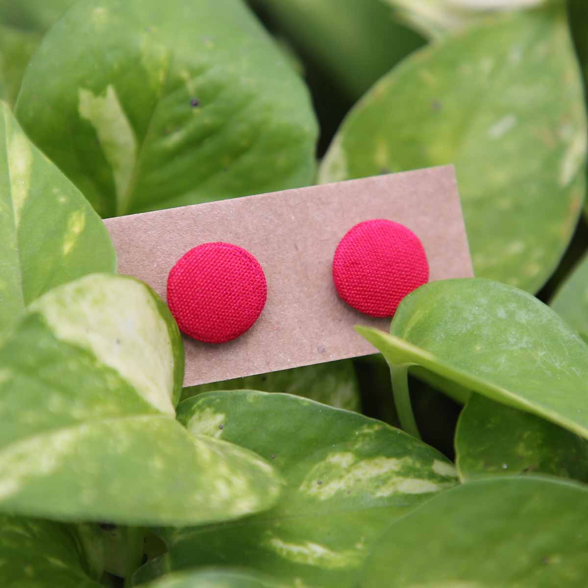 Pure Pink Earrings