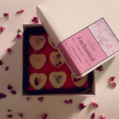 Enchanted Beeswax Melts