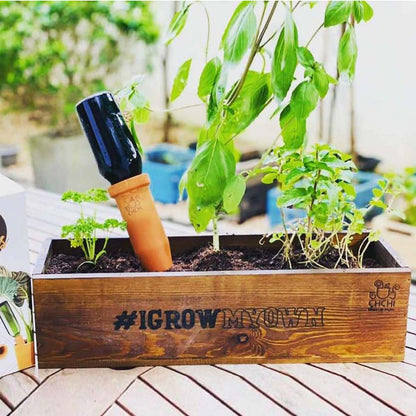 Pantry Top Indoor Herb Garden Planter