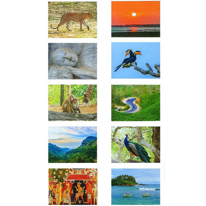 Sights Of Lanka Greeting Cards Pack