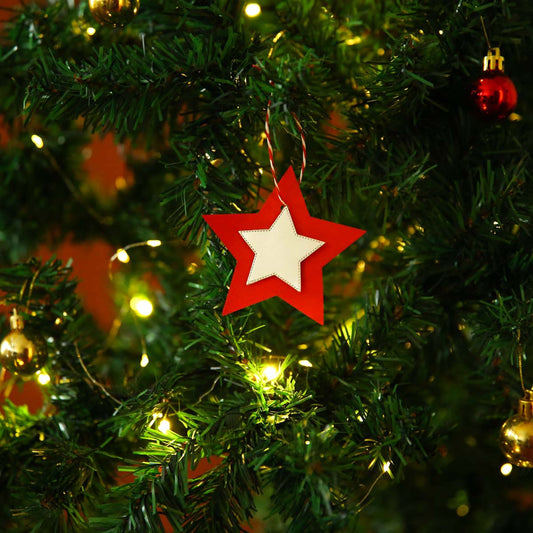 Star of Wonder Paper Ornament