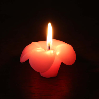 Pink Araliya Candle