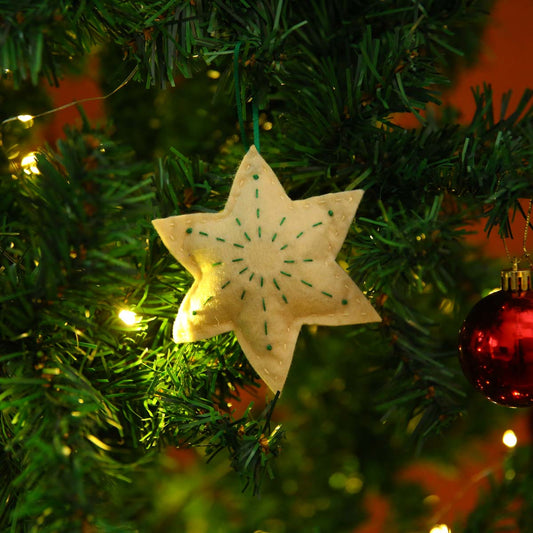 Green &amp; White Celestial Star Ornament