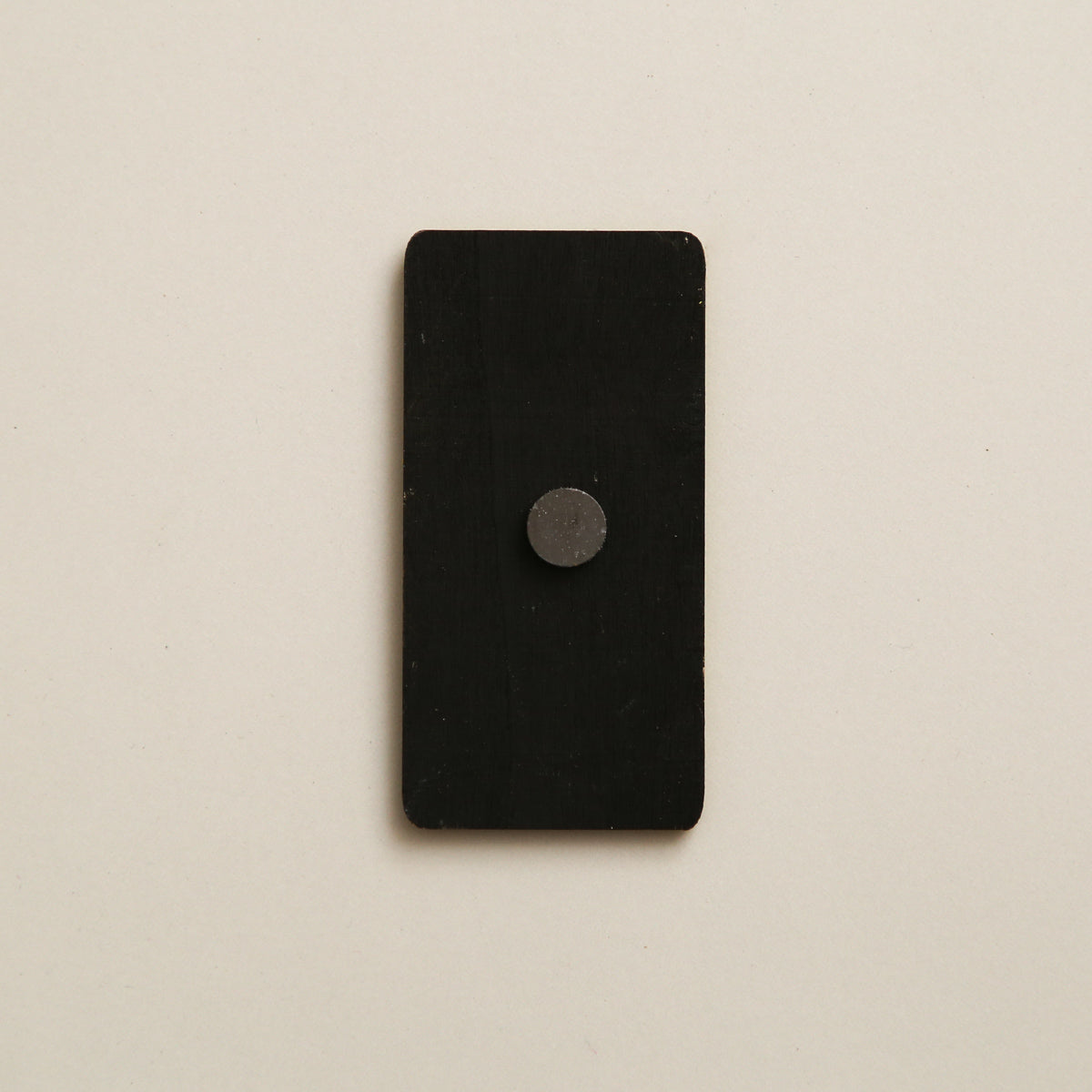 Ceylon Blue Turtle Magnet