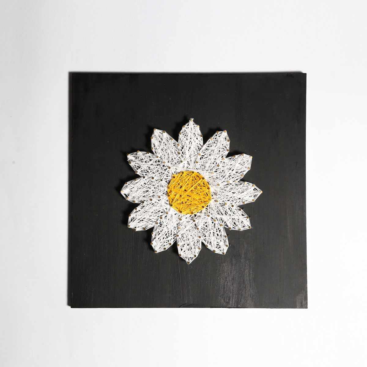 White in The Wild String Art