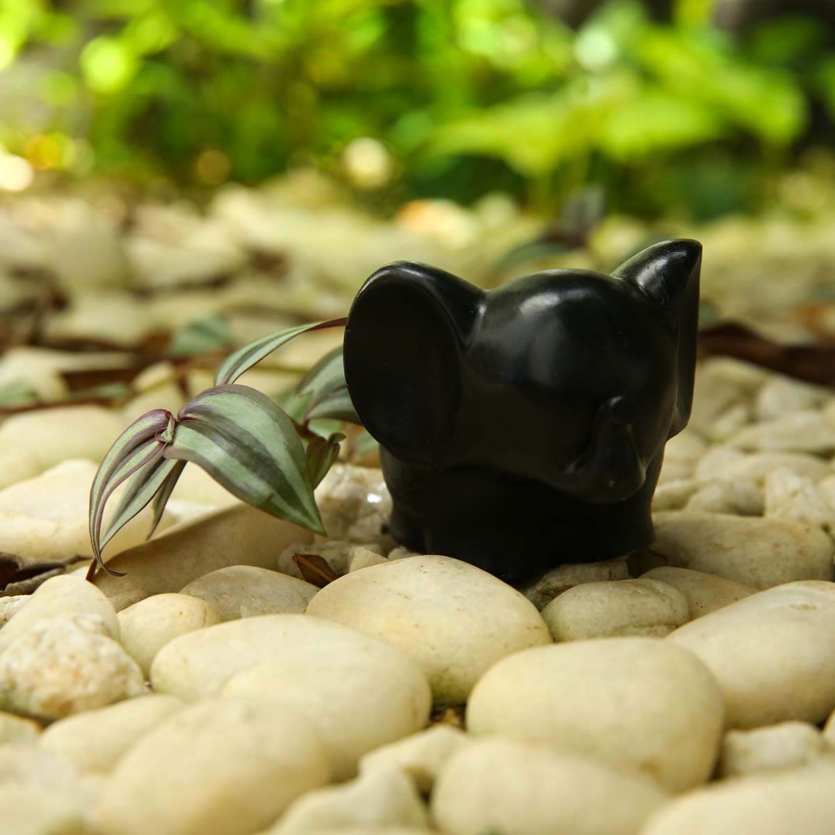 Black Ellie Planter