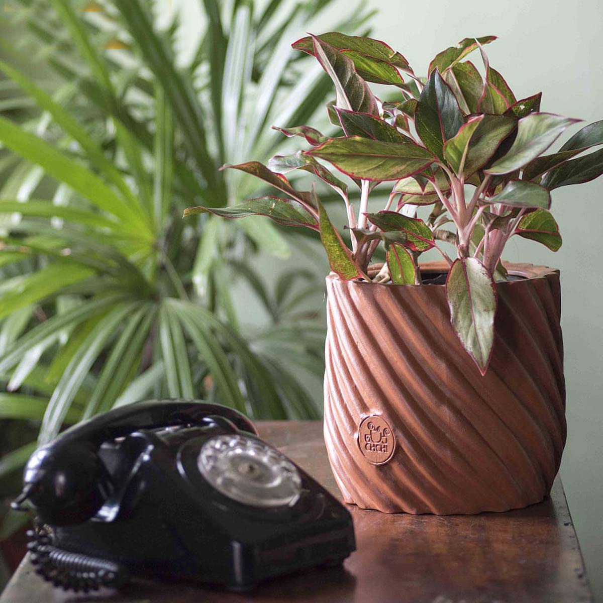 Lined Clay Pot