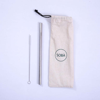 Smoothie Metal Straw Set