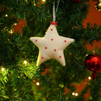 Snow White Felt Star Ornament