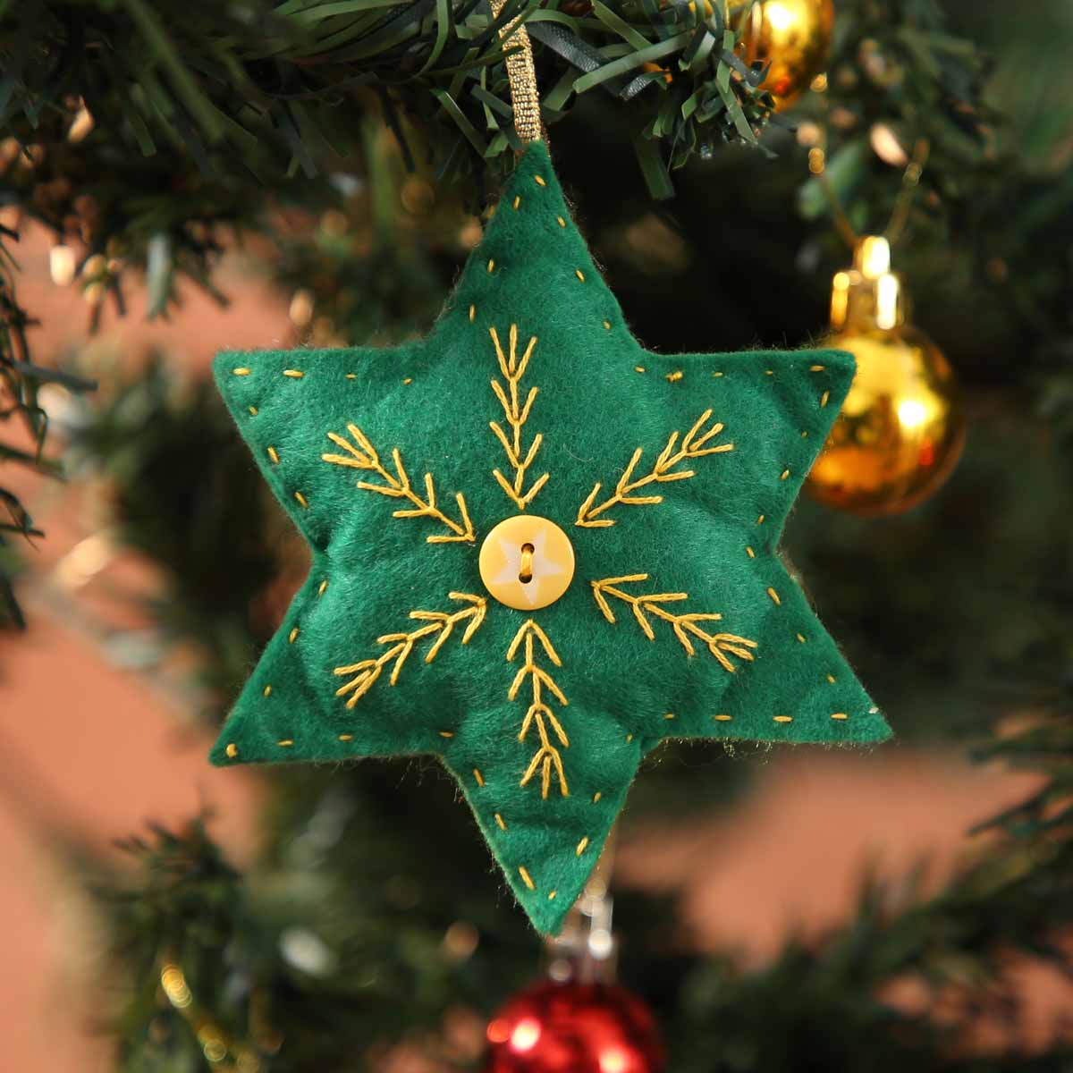 Star of Wonder Ornament