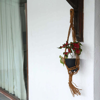 Coconut Twine Plant Hanger