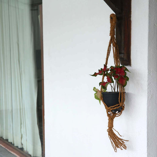 Coconut Twine Plant Hanger
