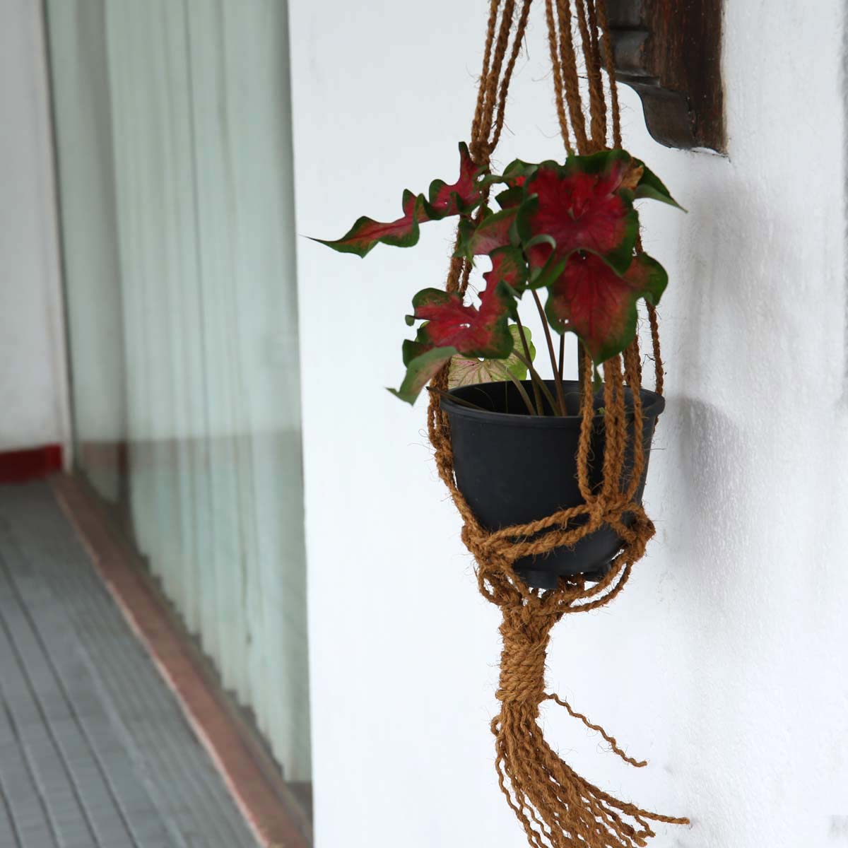 Coconut Twine Plant Hanger