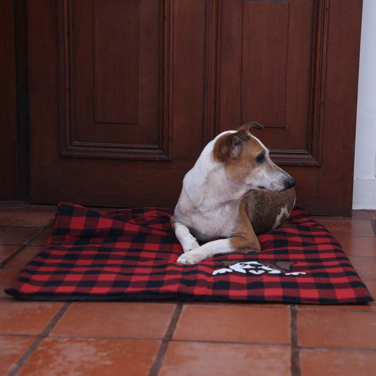 Woof Doggy Blanket