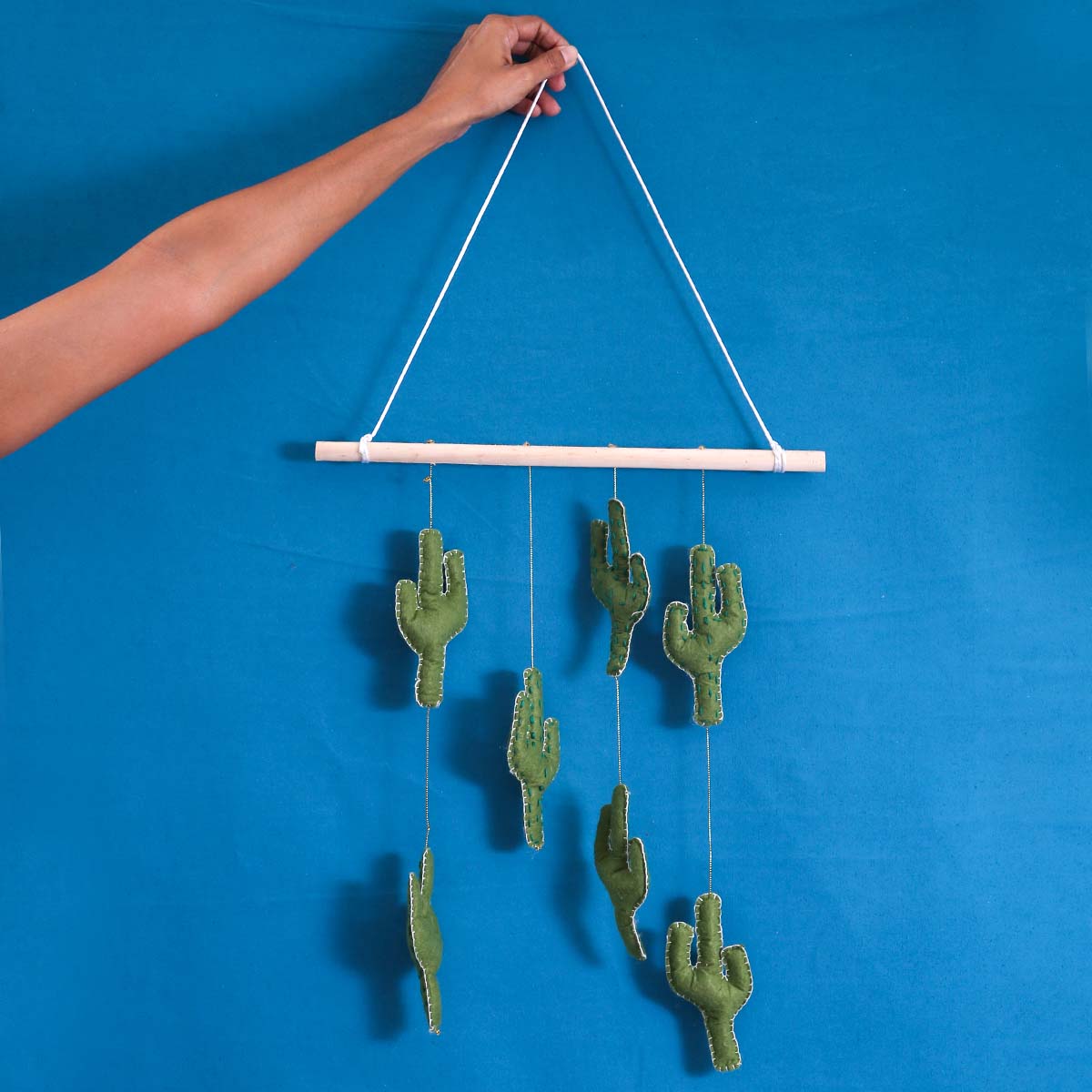 Cactus Wall Hanger