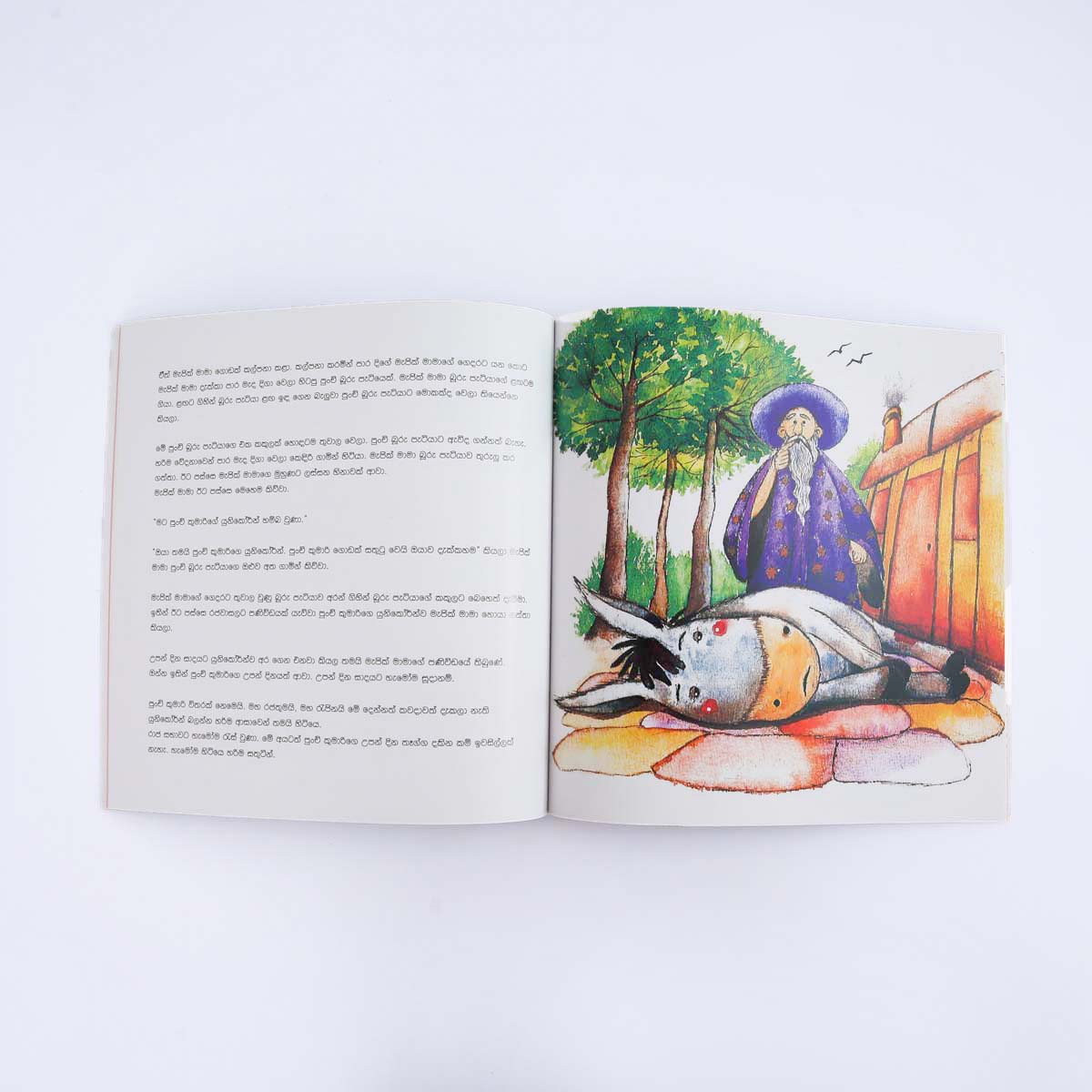 The Unicorn Kids' Book (Sinhala)