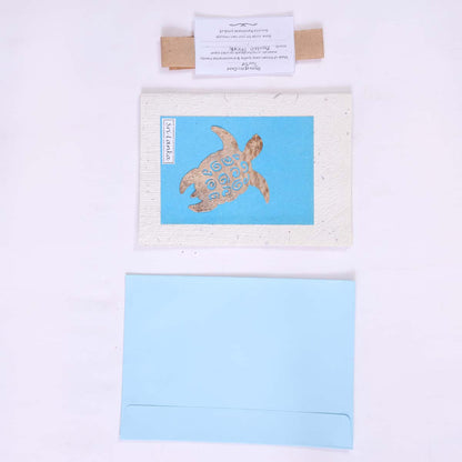 Sea Turtle Card