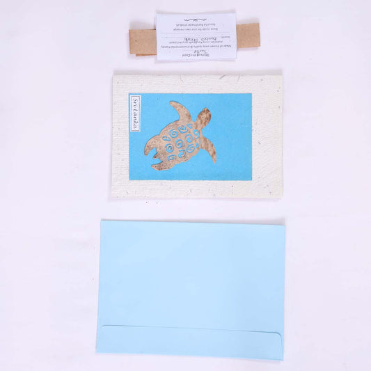 Sea Turtle Card