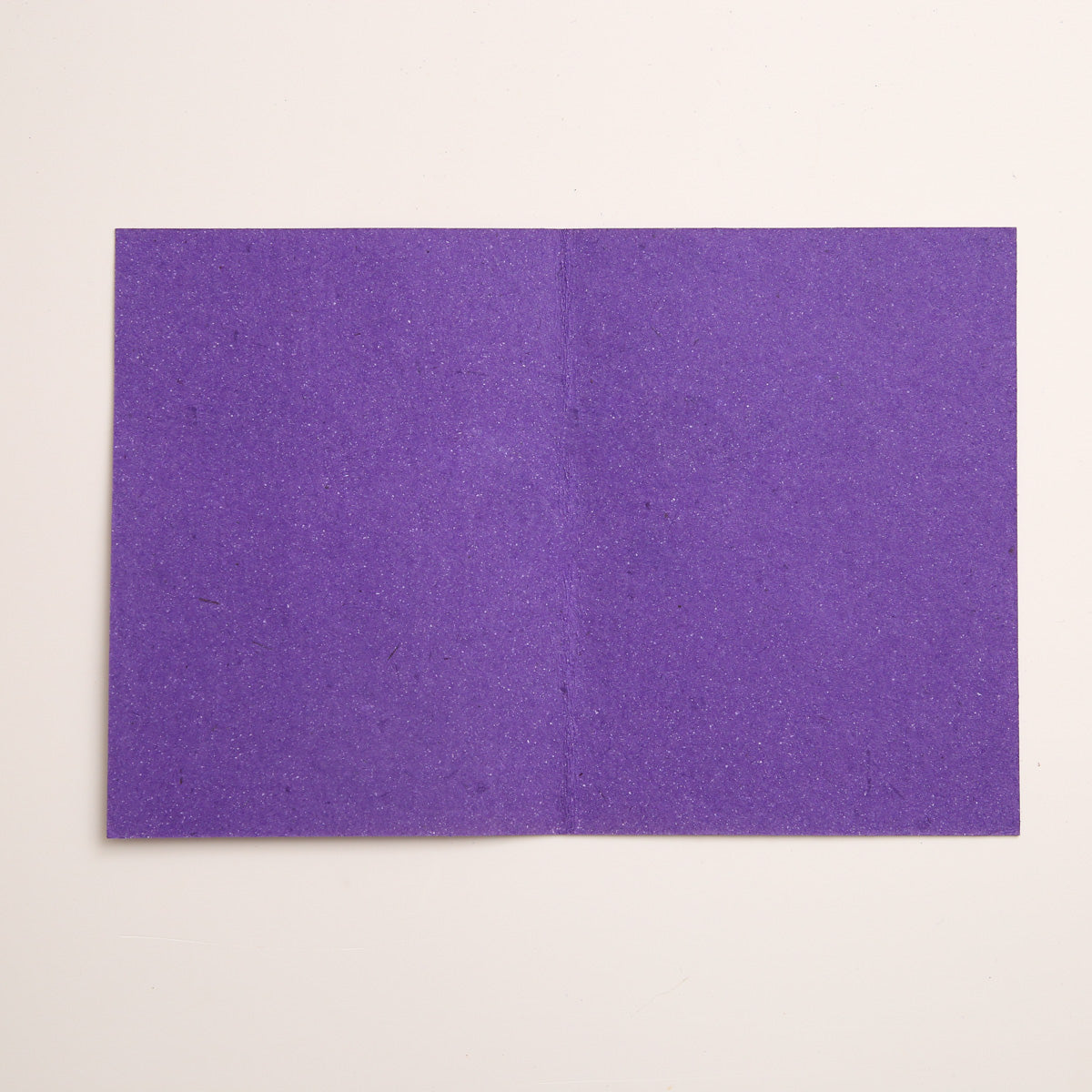 Ceylon Elephant Greeting Card