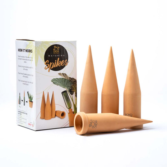 Self Watering Garden Spikes