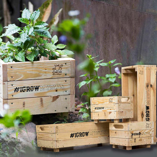 Small Wooden Planter