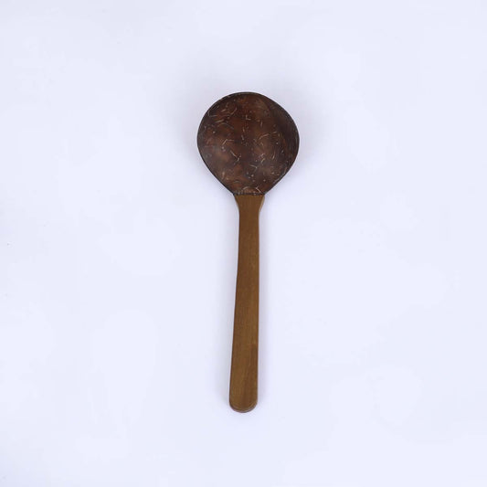 Coconut Shell Spoon
