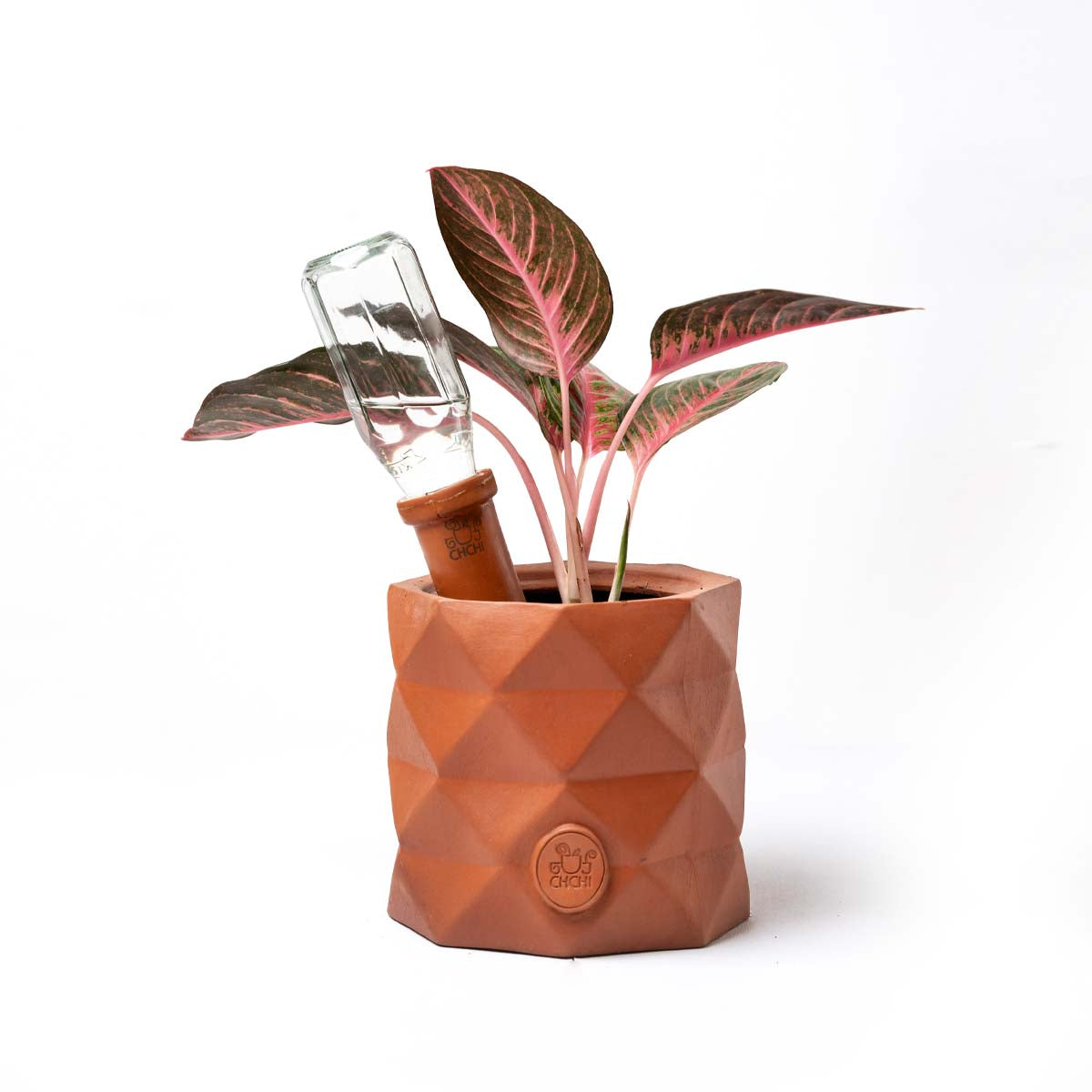 Triangle Clay Pot