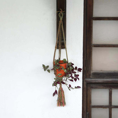 Mixed Plant Hanger