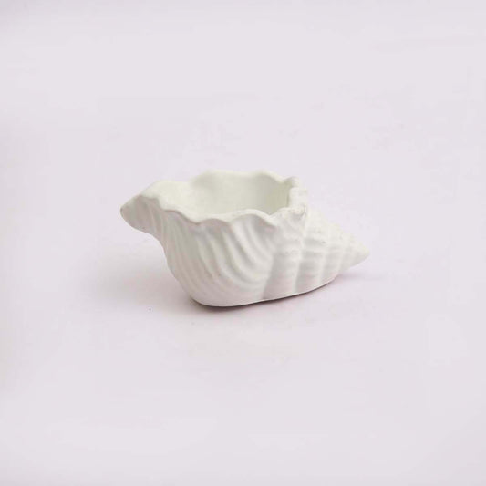 Conch Shell Planter