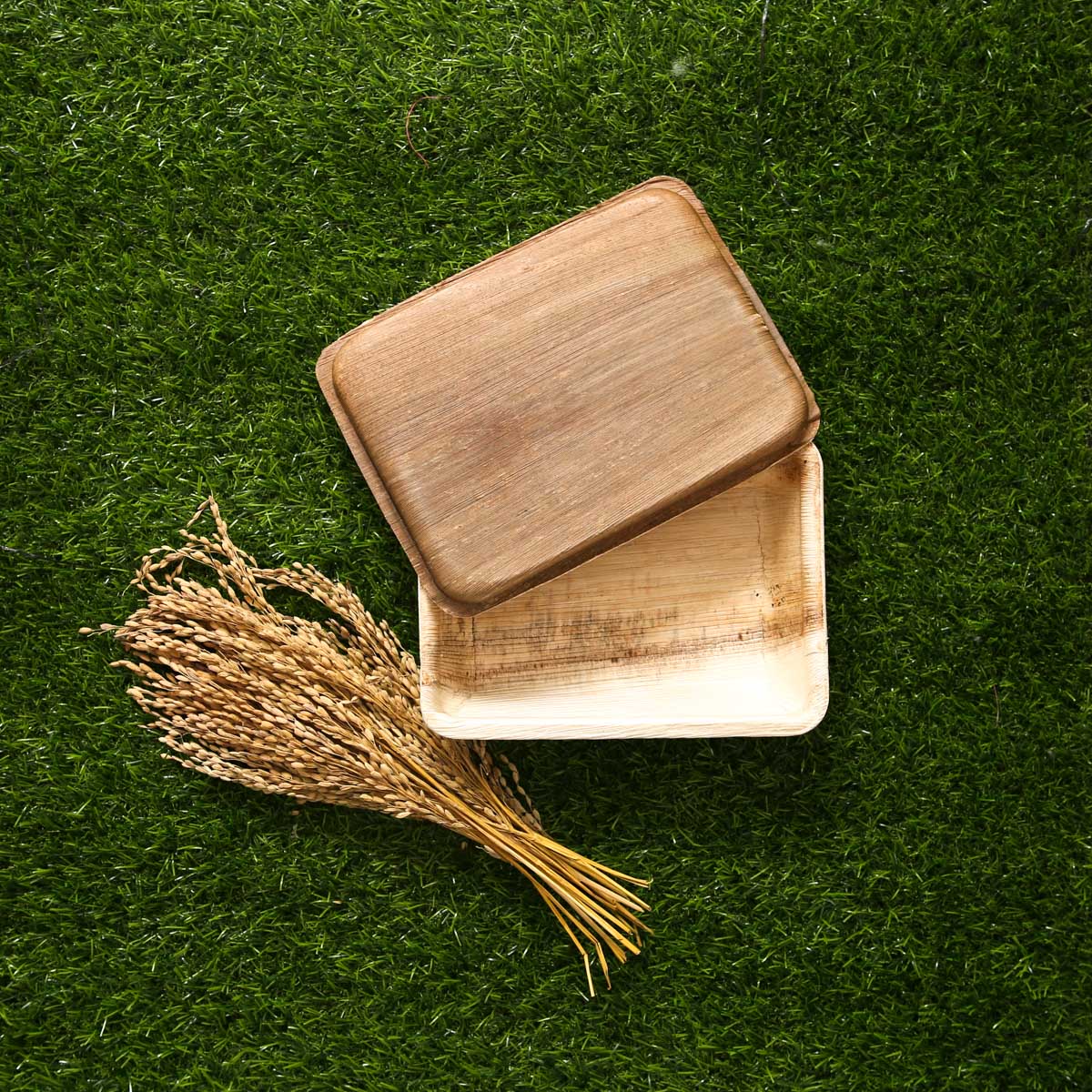 Areca Nut Lunch Container