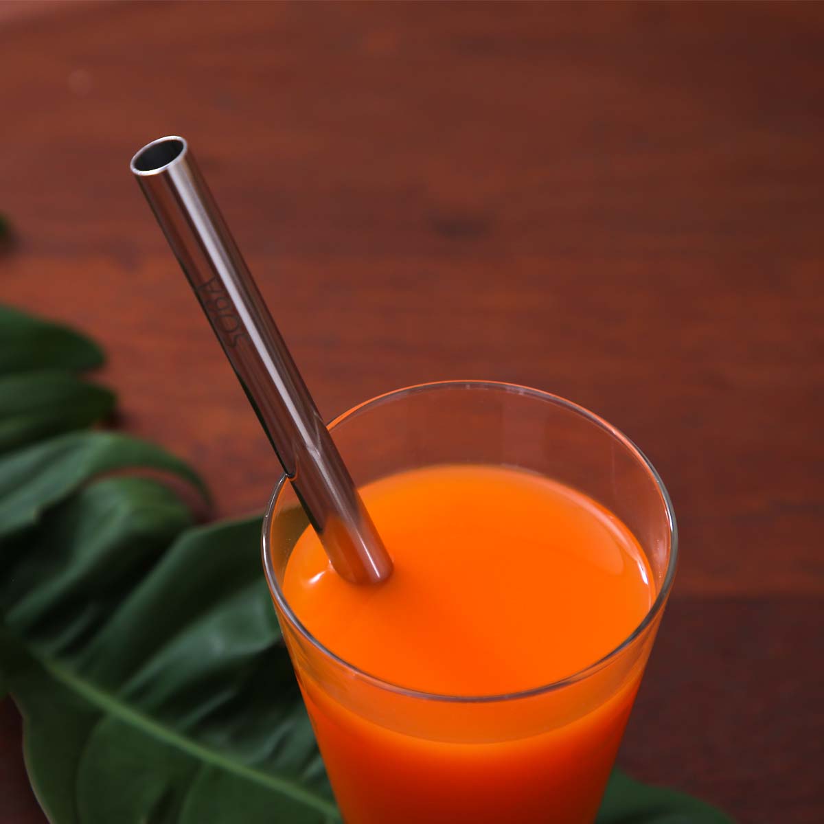 Smoothie Metal Straw Set