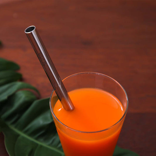 Smoothie Metal Straw Set