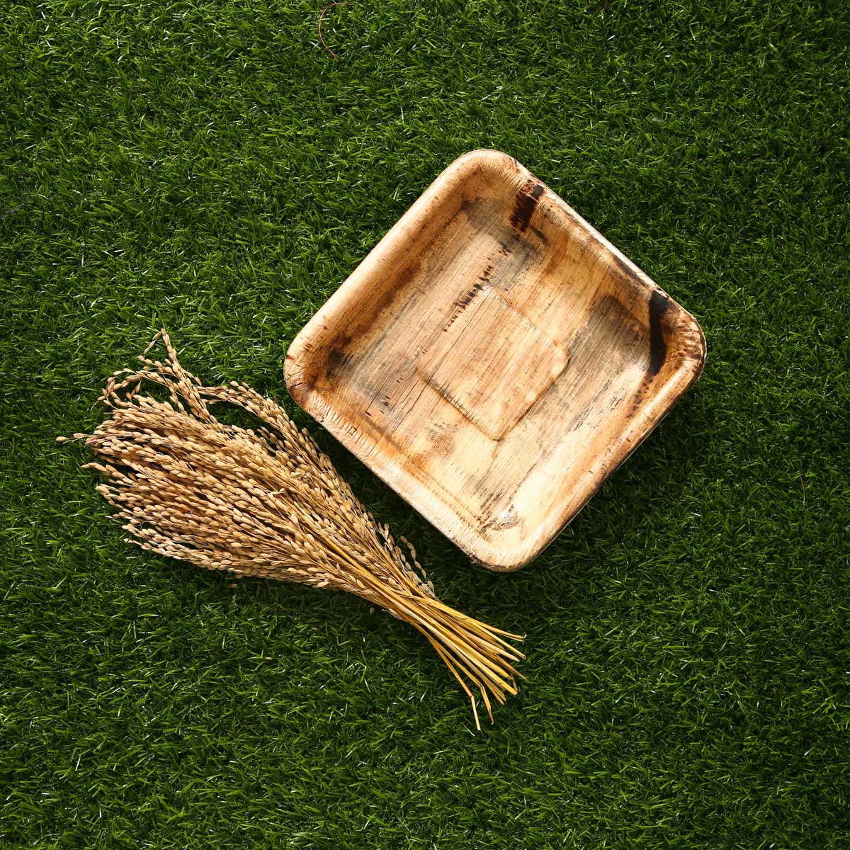 Areca Nut Square Plate