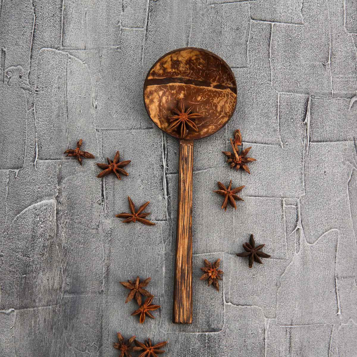 Coconut Shell Spoon 22cm